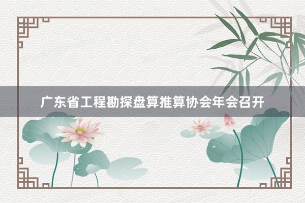 广东省工程勘探盘算推算协会年会召开