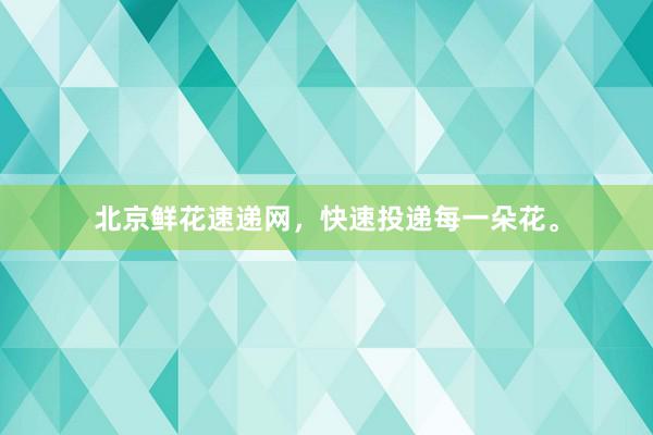 北京鲜花速递网，快速投递每一朵花。