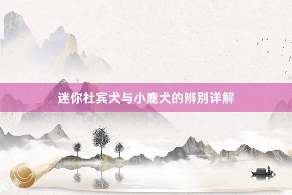 迷你杜宾犬与小鹿犬的辨别详解