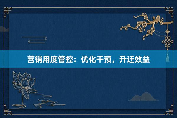 营销用度管控：优化干预，升迁效益