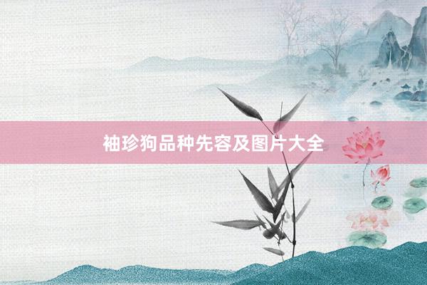 袖珍狗品种先容及图片大全